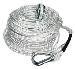 ss1